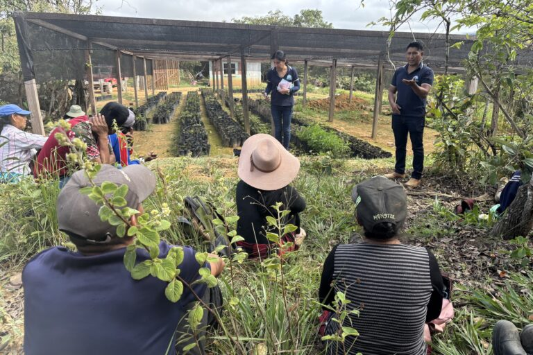 MongabayLatam's tweet photo. Actualmente hay más de 1900 palkachupas, entre jóvenes y adultos, distribuidas en Áreas protegidas, incluyendo dentro del Parque Nacional Madidi, que alberga una impresionante biodiversidad con más de 11 mil especies. 9/9 https://t.co/IZbFQ2roRx https://t.co/OVpBk5mpEw