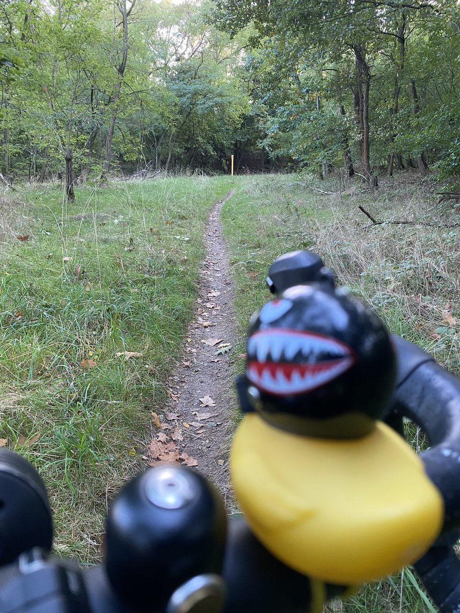 Azetbur's tweet photo. Nach Arbeit ging es gestern zum Bowlen. #entchen und ich haben abgekackt, aber die Fahrt dahin war nett. Besser als die doofe Autobahn. #pmdfis https://t.co/936TQTPxbn