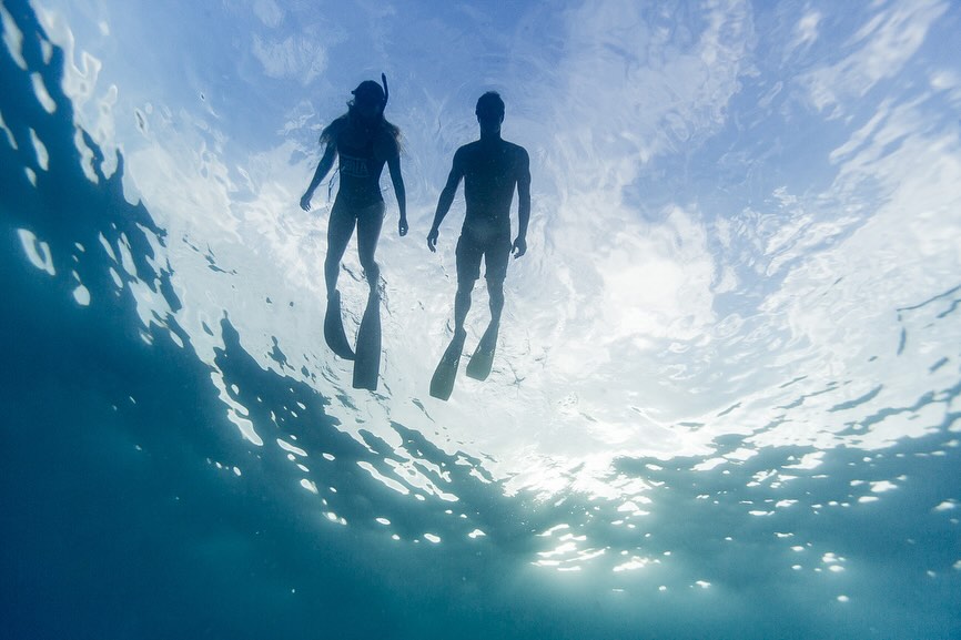 WORKBOOK Photo tweet media