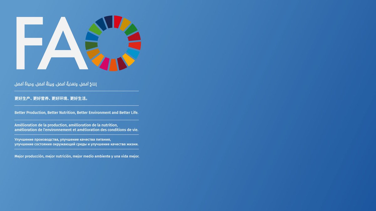 ☕️🌱#Coffee, a cultural treasure &amp; priority crop for 🇸🇦 under #FAO’s #OCOP Initiative.

Join webinar: “Embracing collaboration for collective action,” hosted by <a href="/FAO/">Food and Agriculture Organization</a> and <a href="/MEWA_KSA/">وزارة البيئة والمياه والزراعة</a>.

📅 Oct 2 | ⏰ 13:00 (Riyadh)
🔗 bit.ly/4pFiKVw

#CoffeeDay #SeedCenter #KSA #4Better