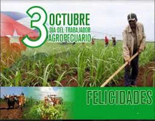RaudelT76's tweet photo. Gracias a todos los obreros agrícolas que trabajan la tierra bajo el sol, a los técnicos, especialistas, investigadores y directivos del sector, que se esfuerzan para que la agricultura avance y se logre la soberanía alimentaria de la nación.
#AgriculturaEsDesarrollo #Azucareros https://t.co/3KlFEg0JRM