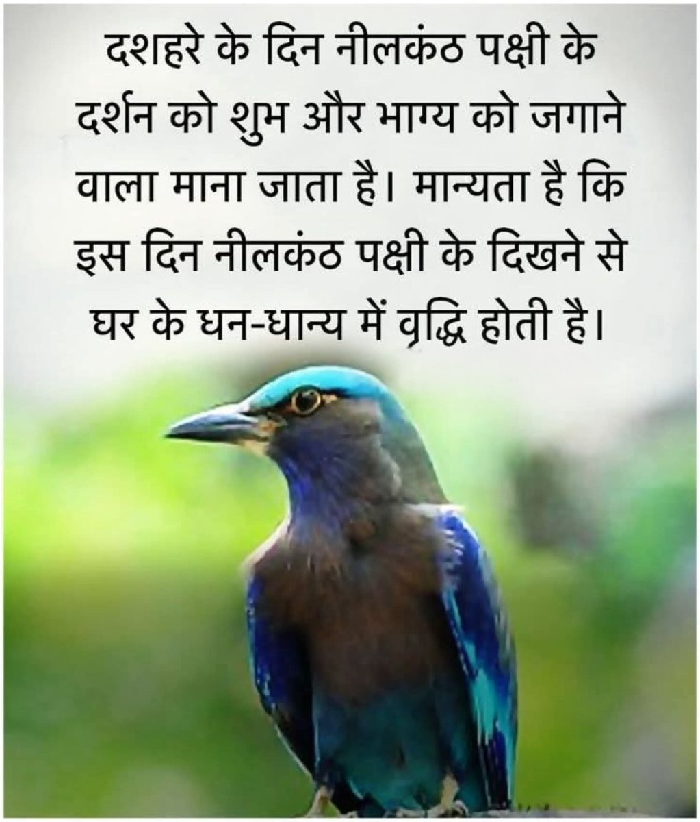 जय हो नीलकंठ महाराज जी की,

#dashara