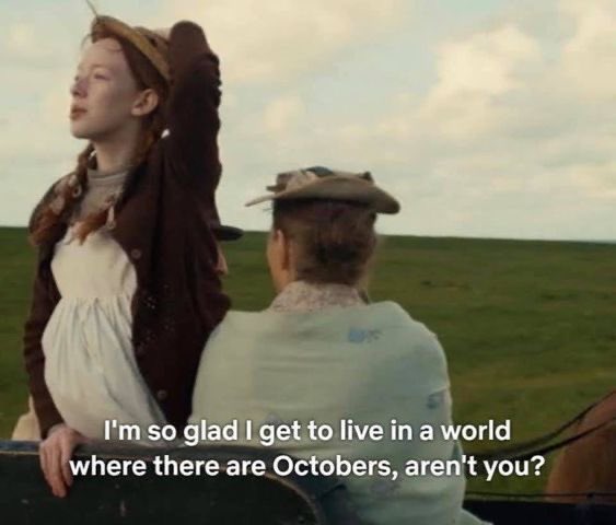 رينا tweet media