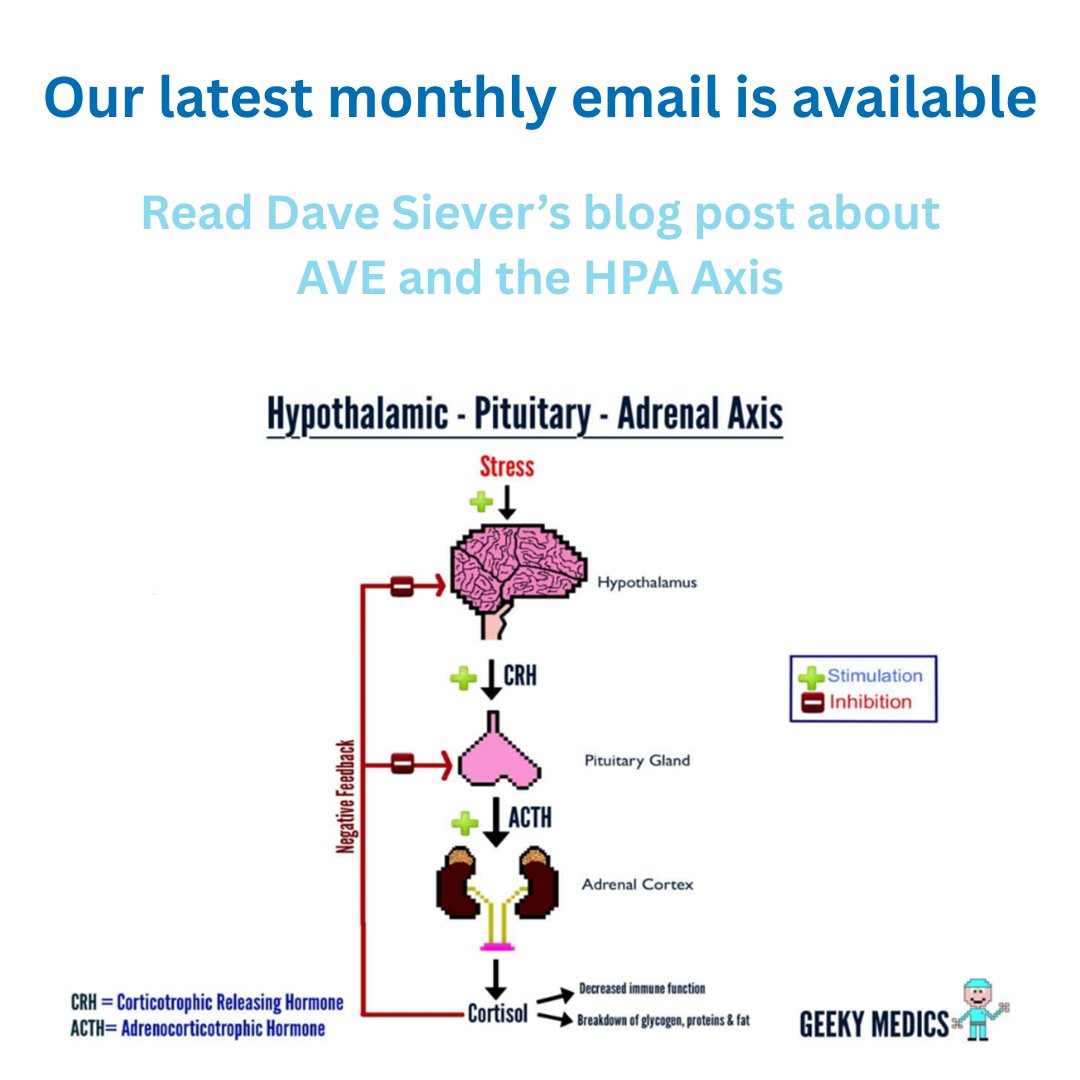 MindAliveInc's tweet image. Our Oct email is available! Read Dave Siever&apos;s blog post about how AVE is a great technique to help people relax and get a break from their worries.

Read here: conta.cc/3ItGThg

#MindAlive #AudioVisualEntrainment #HPAAxis #DAVIDPremier #BrainFog #StressManagement #Sleep