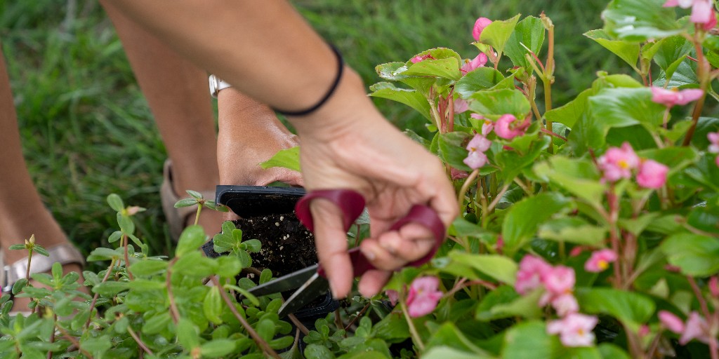 Turn your passion for gardening into a career! 🌱 bit.ly/4nEdPTC

We're hiring a Senior Horticultural Support Technician to design, maintain, and beautify our parks and public gardens. Apply online today!

#LiveMorePlayMore #WorkWhereYouPlay