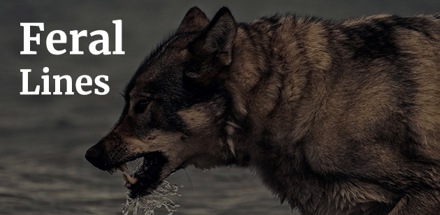 🌿 The Ecological Citizen 🌿 tweet media