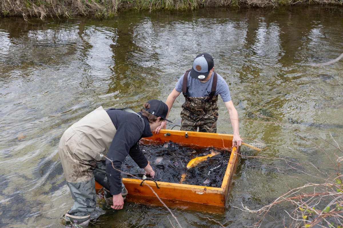 Senator Greg Rothman (@rothman_greg) on Twitter photo Fall Trout Stocking is Underway! This will replenish some of the most popular fishing spots & provide winter ice fishing opportunities. Trout that are stocked can be fished for immediately. Find a stocked waterway: fbweb.pa.gov/TroutStocking <a href="/pafishandboat/">Pennsylvania Fish and Boat Commission</a> Fall Trout Stocking is Underway! This will replenish some of the most popular fishing spots & provide winter ice fishing opportunities. Trout that are stocked can be fished for immediately. Find a stocked waterway: fbweb.pa.gov/TroutStocking <a href="/pafishandboat/">Pennsylvania Fish and Boat Commission</a>