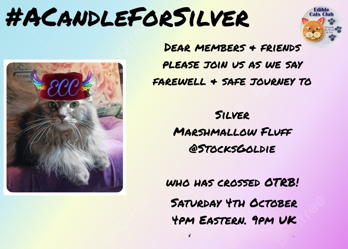 Dear members &amp; friends….I hope you will be able to attend our vigil for our beloved friend, Silver Marshmallow Fluff, <a href="/StocksGoldie/">GoldieStocks🍍👼Freddy😻 Silver😽 Twlight😸</a> , as she makes her way OTRB!