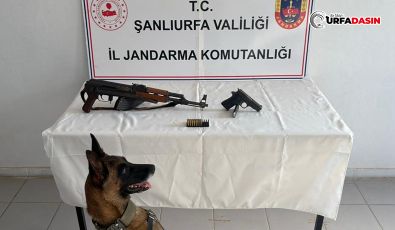urfadasin's tweet image. Birecik’te Tüfek ve Tabanca Ele Geçirildi urfadasin.com/birecikte-tufe… #Şanlıurfa #urfa #tüfek #silah @urfajandarma