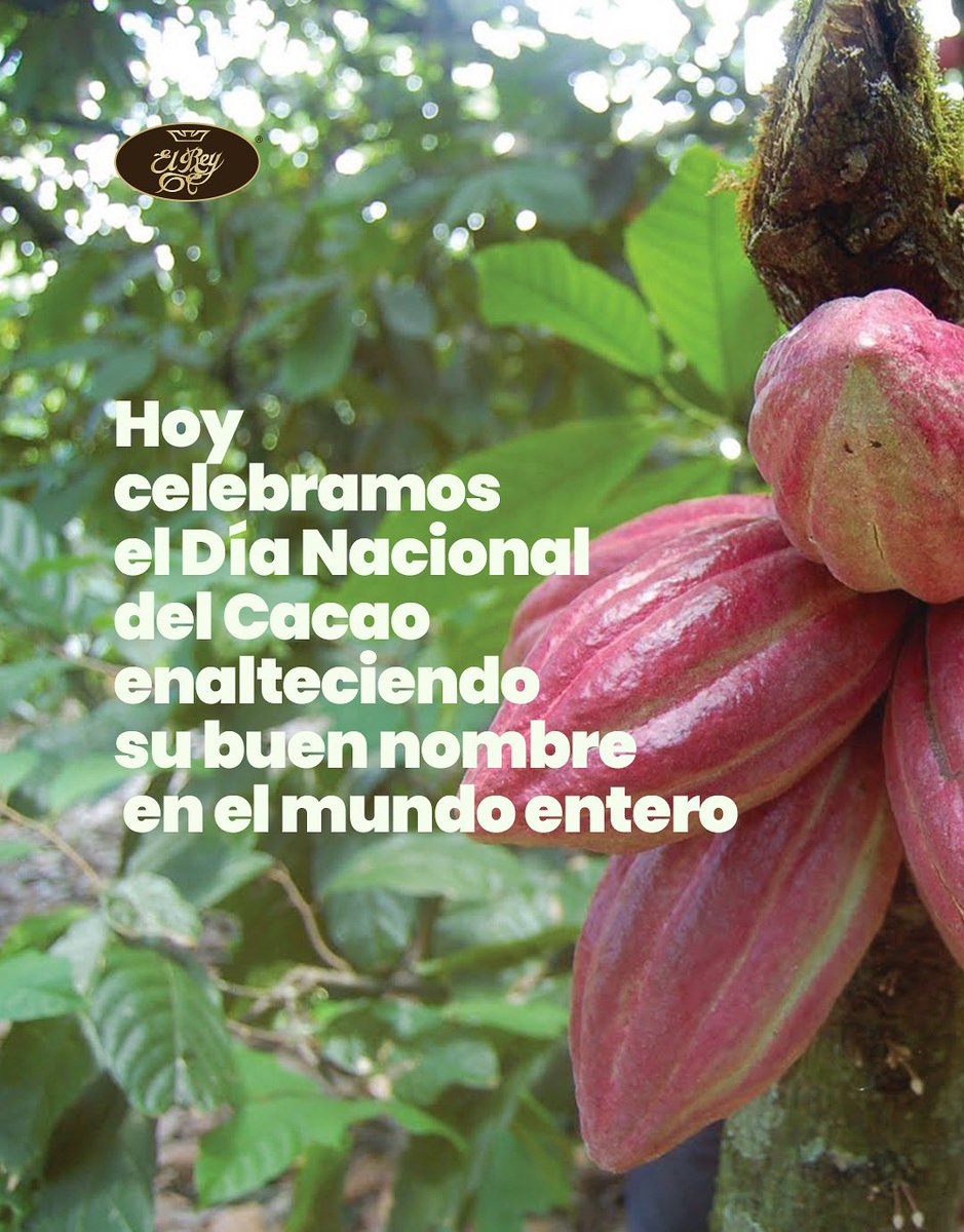 En Chocolates El Rey reconocemos que sin cacao de primera, no es posible hacer chocolate de calidad. No existen trucos ni atajos para hacer que un cacao sin gracia, brinde una experiencia memorable.

instagram.com/p/DPRo7l6kah8/…