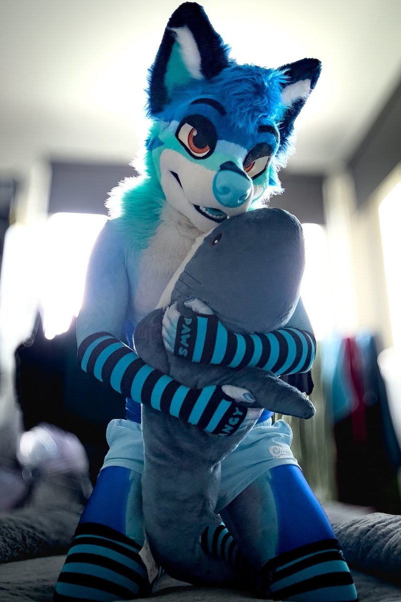 It's getting cold, so it's best to warm up with some cuddles! Wanna replace the shark? 🤗🦈

✂️ <a href="/AlphaDogsStudio/">Alpha Dogs</a> 

#FursuitEveryday