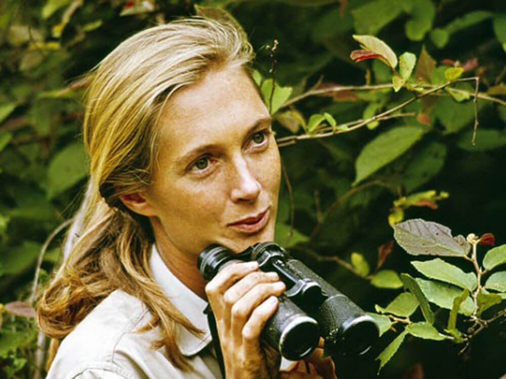 etoilepattinson's tweet photo. so sad to hear about jane goodall’s passing. she really was so special and inspired so many people to do good in this world💔 https://t.co/kr8U6577Yx