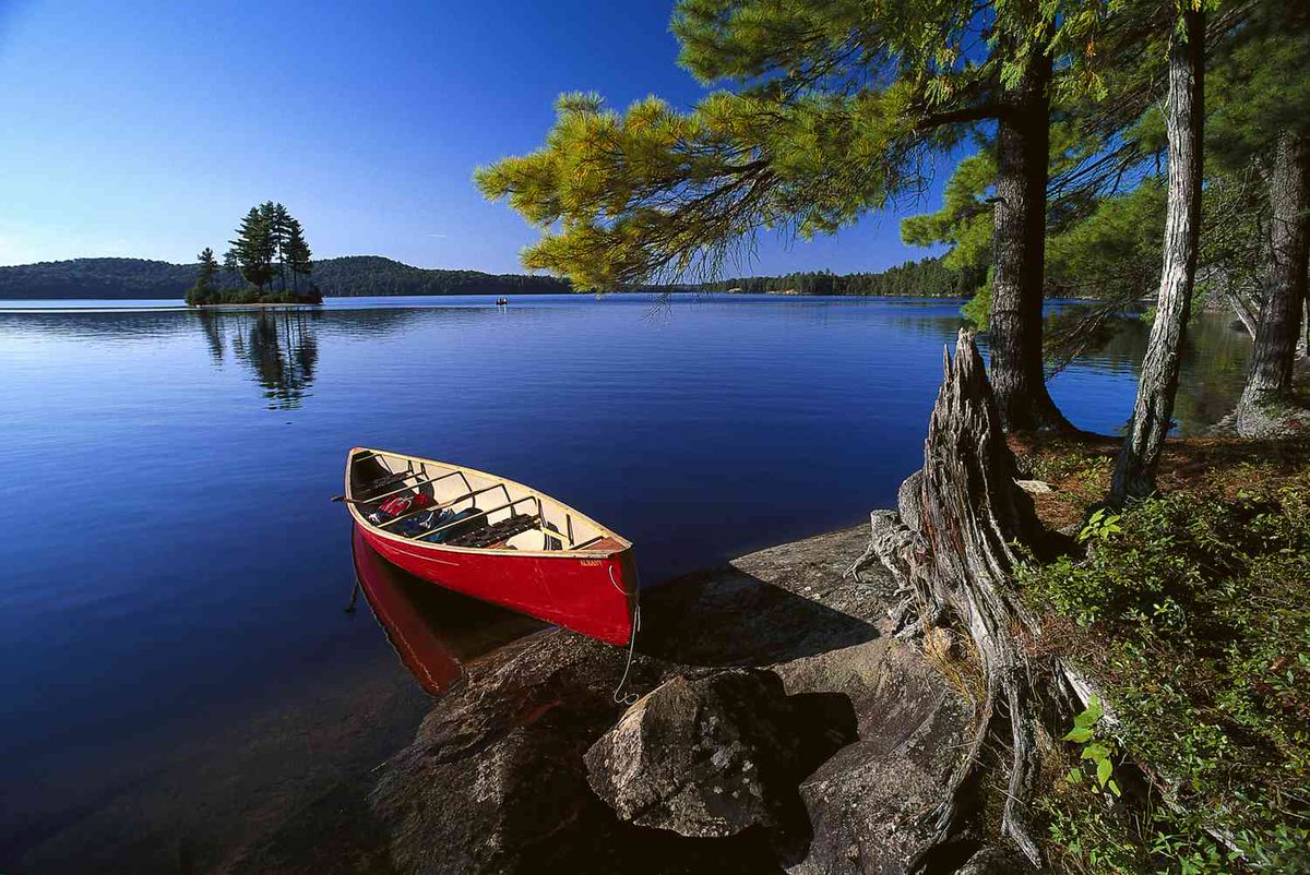 Appointments going fast... - mailchi.mp/6a523fe7b722/a…