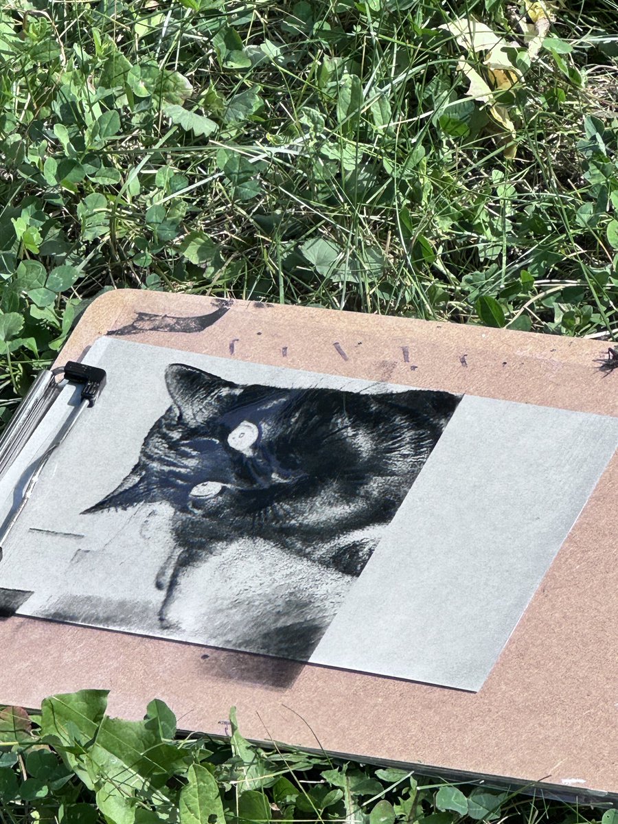 Making cyanotype prints in 8th grade Art class! 
<a href="/D61EJH/">Eisenhower JHS</a>