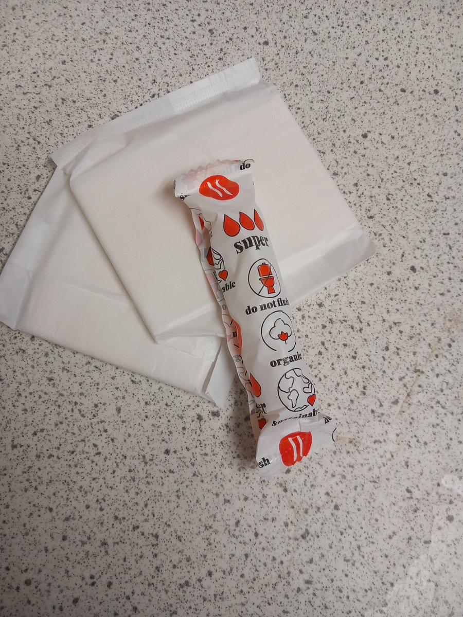 PeriodPride_IA's tweet photo. It has come to our attention that not everyone was taught how to dispose of their used period products. In this post, we show you how to do this in a sanitary way.
Put them in the period bin and don't flush them!
We used red paint.
#periodpride @missblair_dt
@invacad @MsMcCready https://t.co/SS7S0eue5r