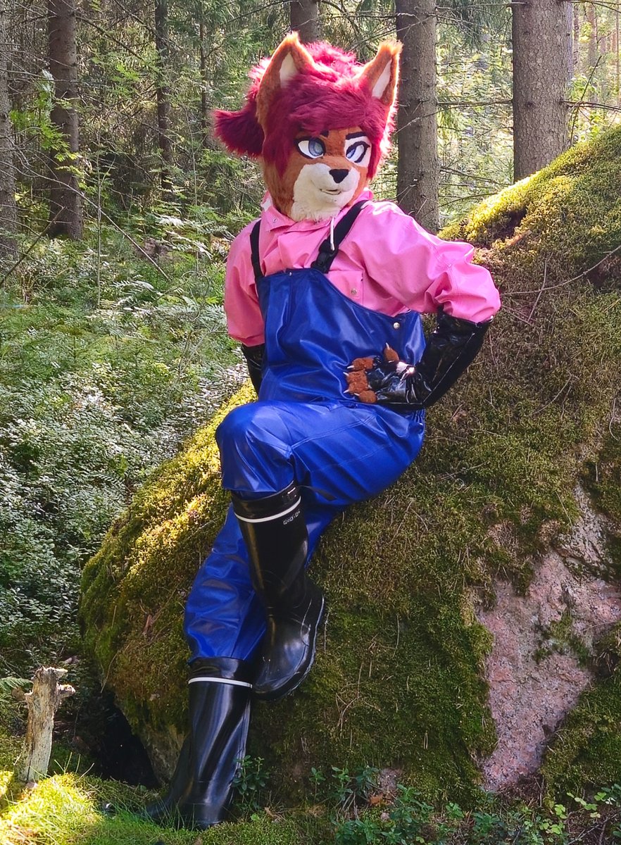 Ready for forest exploration