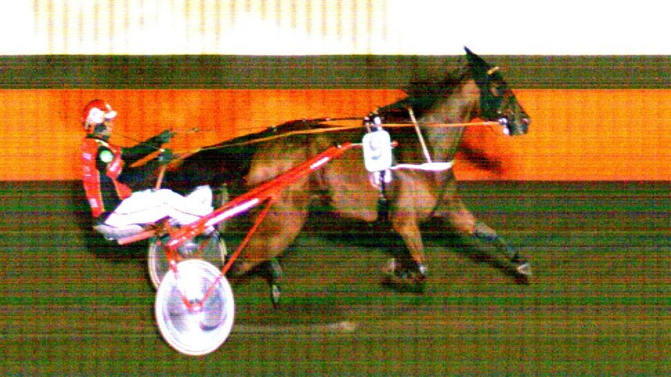 L9: Kohti Kuuma Cupia lähdön ylivoimaiseen voittoon kiri Stoneisle Vertigo, valmentaja Tapio Perttunen ajoi. Team Amatimiehet Lahdesta omistavat ja kasvattaja on Kivisaaren Oriasema Oy. Ruunaa hoitaa  Reeta Heino, voittoaika oli 12,8a, lämpimät onnittelut taustaporukoille #ravit