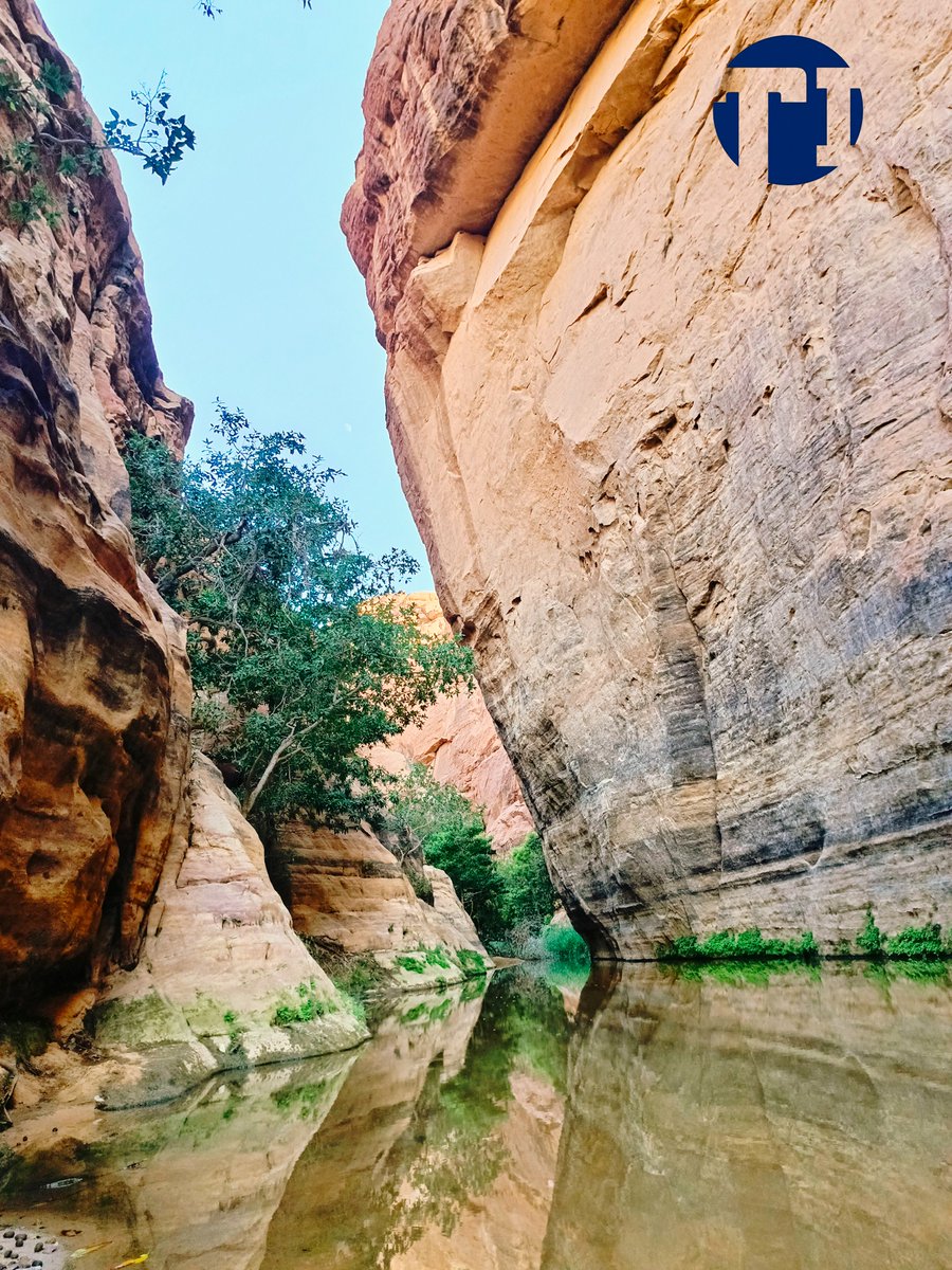 tchadinfos's tweet photo. D’une beauté rare, la guelta de #Bachikélé et le site de #Julia, situés dans la province de l’Ennedi Est, font partie du massif de l’#Ennedi #Tchad #tourisme https://t.co/DJmzMd85Bd