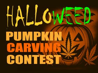 NativeFlower7's tweet photo. 🎃✨ Halloweed Pumpkin Carving Contest! 

Carve it. Drop it. Win it. 🕸️ 
https://t.co/lBZf5fmHba https://t.co/NFYYlzOB7g