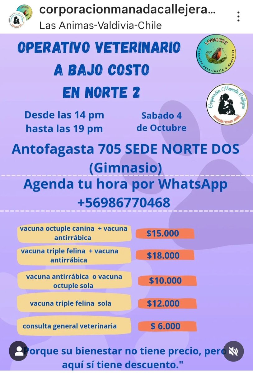 ##valdiviacl  Operativo Veterinario , sábado 4 de octubre.