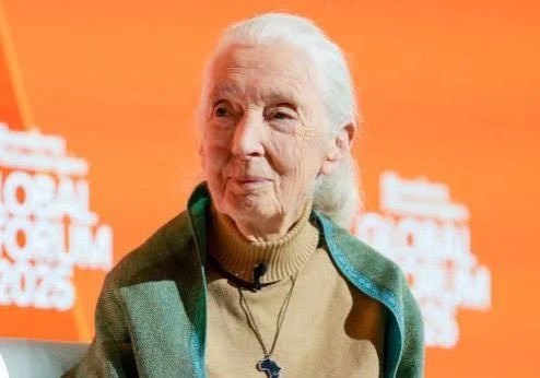 Jane Goodall. What a life. 
1934-2025