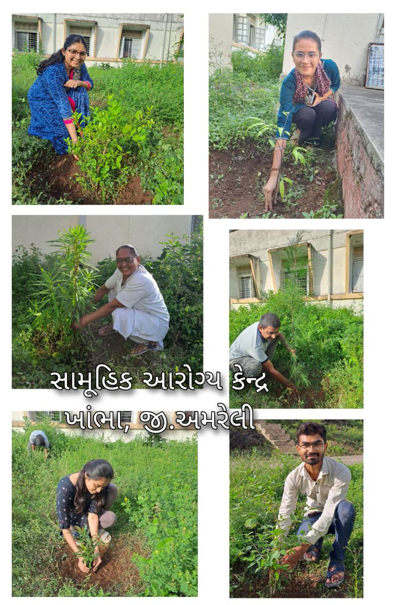 સ્વચ્છતા હિ સેવા - ૨૦૨૫, Day 1-વૃક્ષારોપણ

<a href="/AmreliHealth/">Health Department Amreli</a> <a href="/Infoamreligog/">Info Amreli GoG</a> <a href="/irushikeshpatel/">Rushikesh Patel</a> <a href="/MoHFW_INDIA/">Ministry of Health</a> <a href="/ArunKumar23302/">Dr Arun Kumar Singh</a> <a href="/DrRadhaKrishan7/">Radhakrishan Jat_DQAMO Amreli</a> <a href="/ddoamreli/">DDO Amreli</a> <a href="/CollectorAmr/">Collector & DM Amreli</a> <a href="/THOkhambha/">Taluka Health Officer Khambha</a> <a href="/theonedestiny/">Punit Mehta (ભારતીય ડૉ. પુનિત મેહતા)</a> <a href="/NHMGujarat/">NHM Gujarat</a> <a href="/InfoGujarat/">Gujarat Information</a> <a href="/MoHFW_GUJARAT/">Ministry of Health</a>