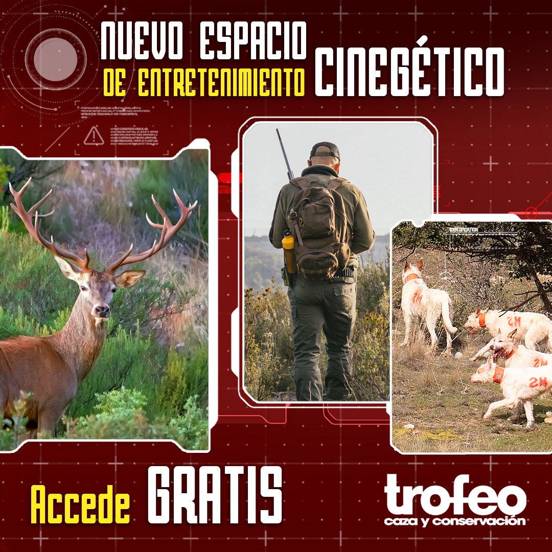 🏹¿Ya conoces el nuevo espacio de entretenimiento cinegético de Trofeo Caza?

Reportajes especializados, pruebas de armas, óptica, equipamiento... 🏹 ¡La caza entra en una nueva era digital!

🆓 ¡Acceso GRATIS! 
👉 revista.trofeocaza.com

#iberaliago #caza #cazadores
