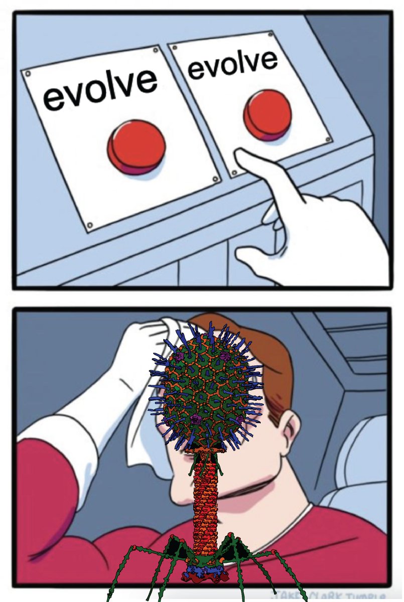 Ben Adler tweet media