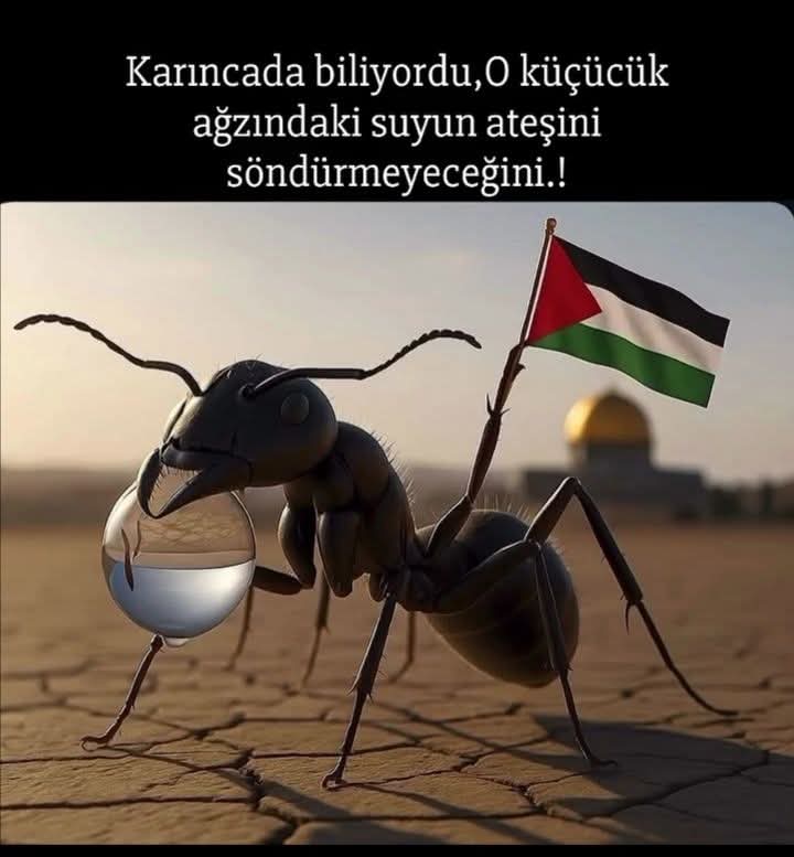 Zulme karşı dayanışma denizde! #Sumudukoruyun