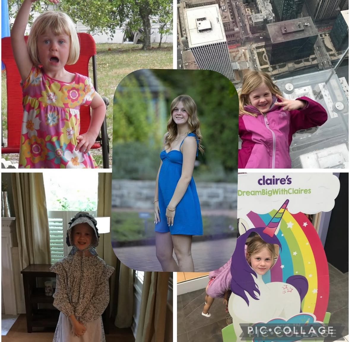 Lib Veebs tweet media