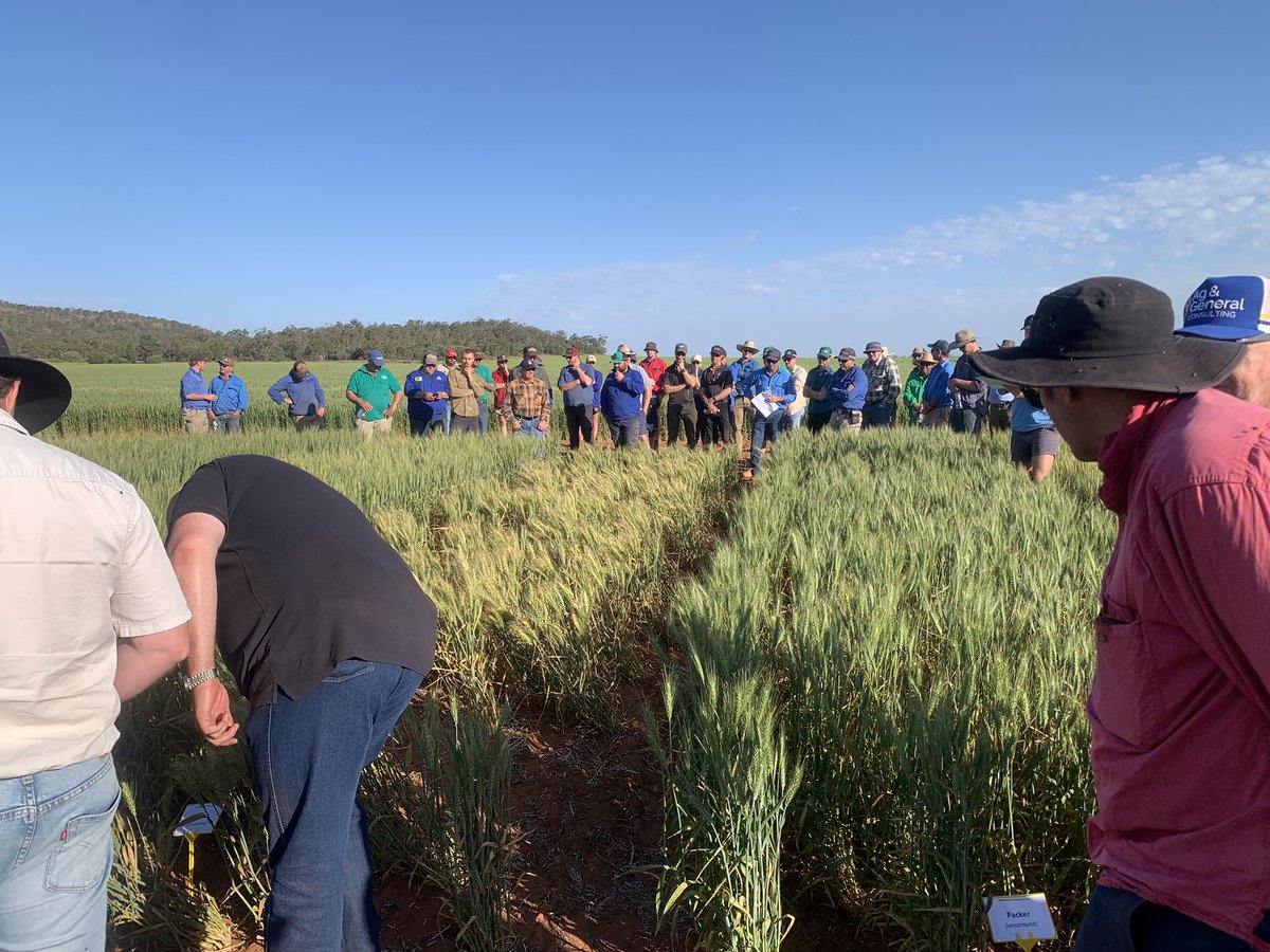 Brendan Torpy tweet media