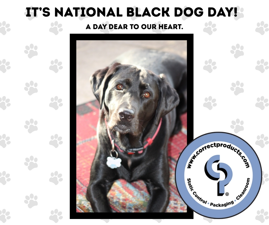 It's National Black Dog Day - a day we LOVE to celebrate! Cheers to our best friend!