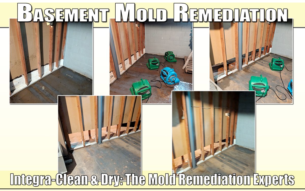 integracleanpa's tweet photo. You can depend on us. Call us 24/7 at 1-877-379-8669.

Integra-Clean &amp; Dry: The Mold Remediation Experts
https://t.co/E4HmX926Zl

Call today for your FREE evaluation.
Vets and Seniors receive 5% off.

#mold #moldremediation #moldremoval #crawlspaceencapsulation https://t.co/QSCvxlYkBv