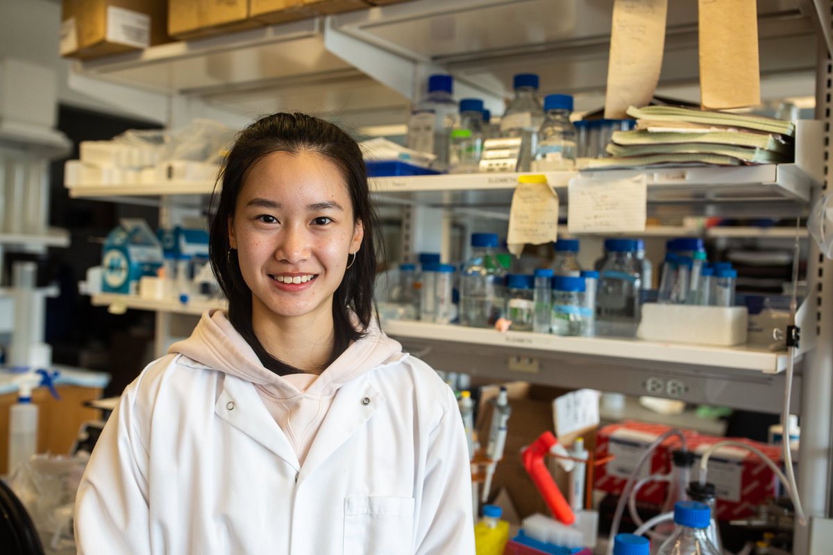As an undergraduate researcher, Yiwei Yan ’25 studied how breast cancer cell growth is regulated in bone by investigating how bone mineral content and tumor-secreted factors influence the growth of mesenchymal stem cells.