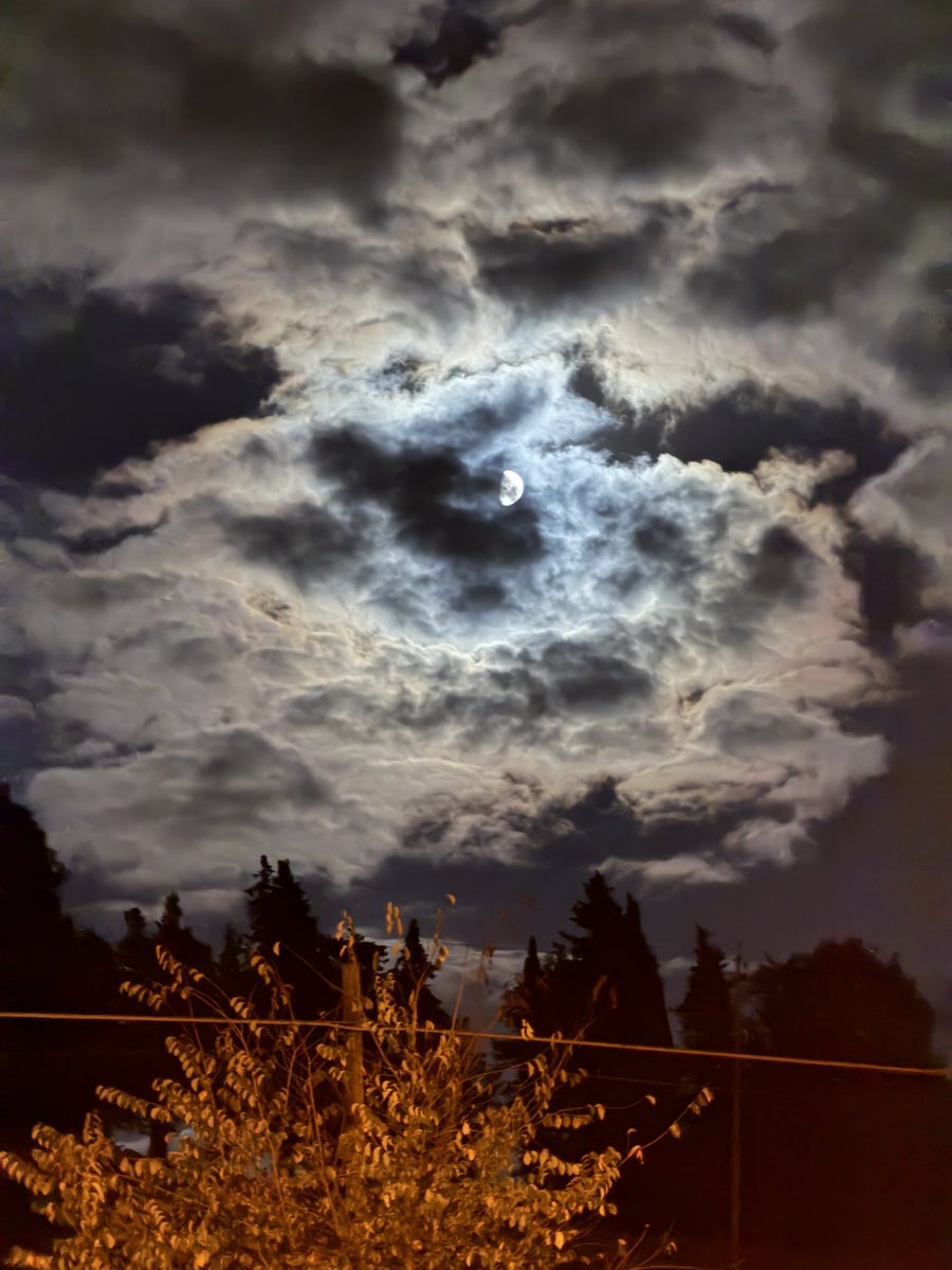 #fattoriapolidori 
#restiamoumani