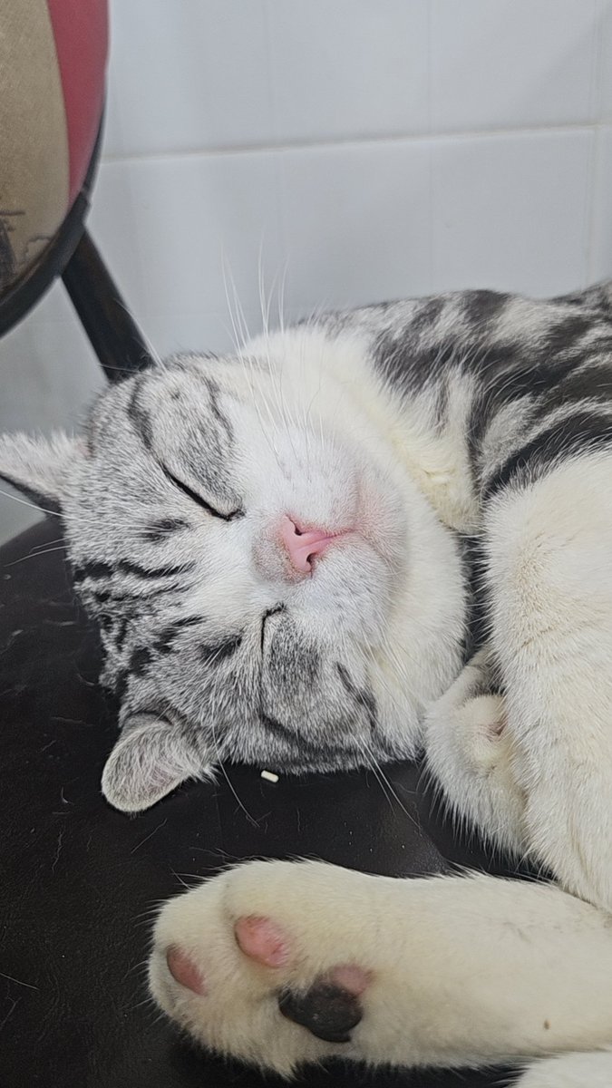 怪不得这么痛苦 原来生命的缩写是sm