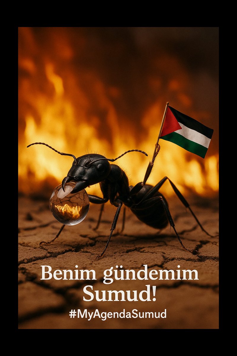 Rabia5041's tweet photo. #MyAgendesumud #FreePalestine https://t.co/jc2uHRDJTT