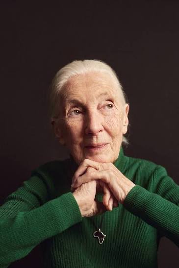 JustFreshKicks's tweet photo. RIP Dr. Jane Goodall 🕊️ https://t.co/aPQTLemw4i