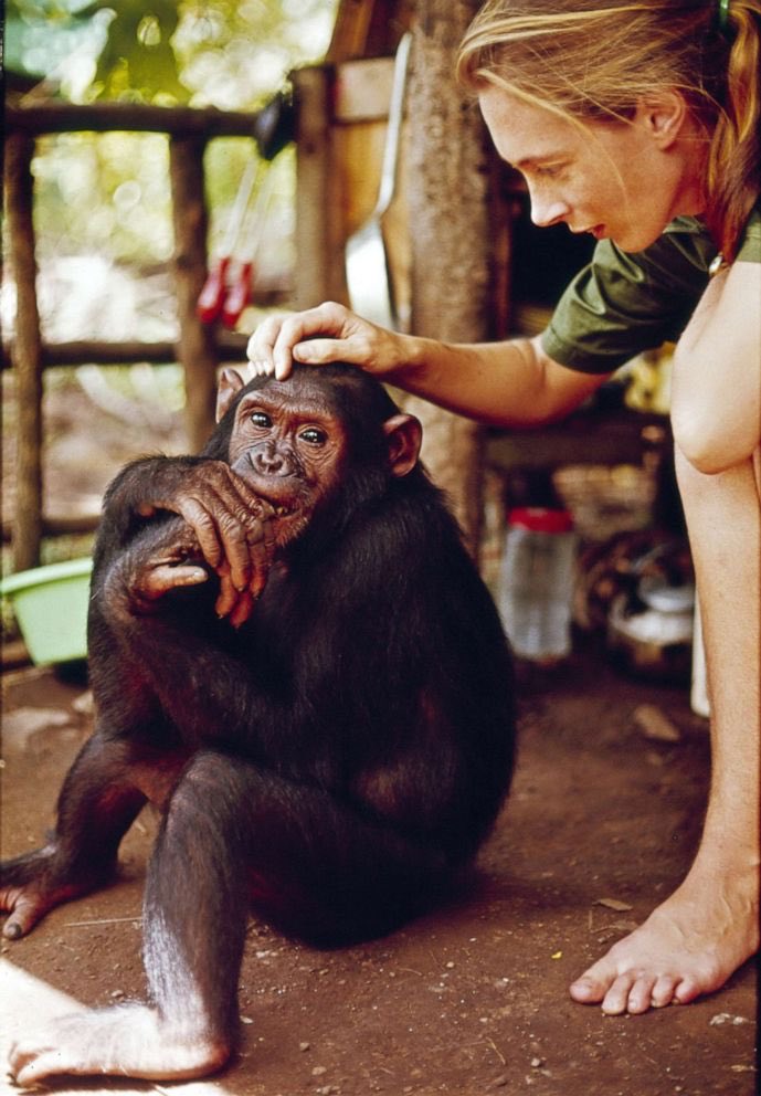 JustFreshKicks's tweet photo. RIP Dr. Jane Goodall 🕊️ https://t.co/aPQTLemw4i