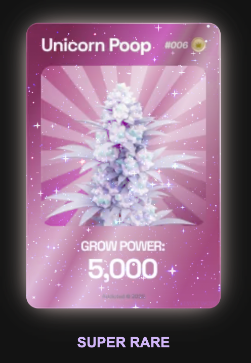 johnvroot tweet media