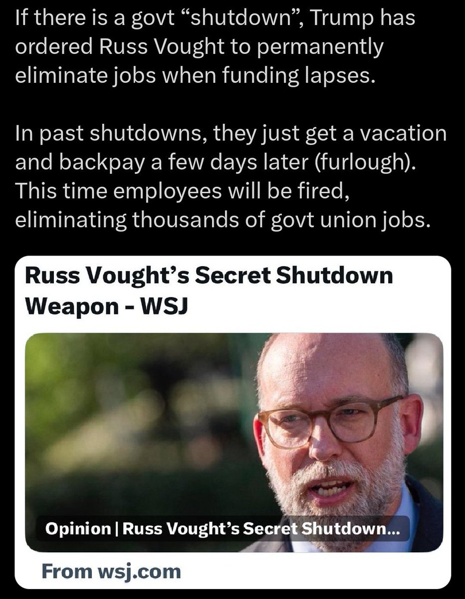 The Conservative Alternative tweet media