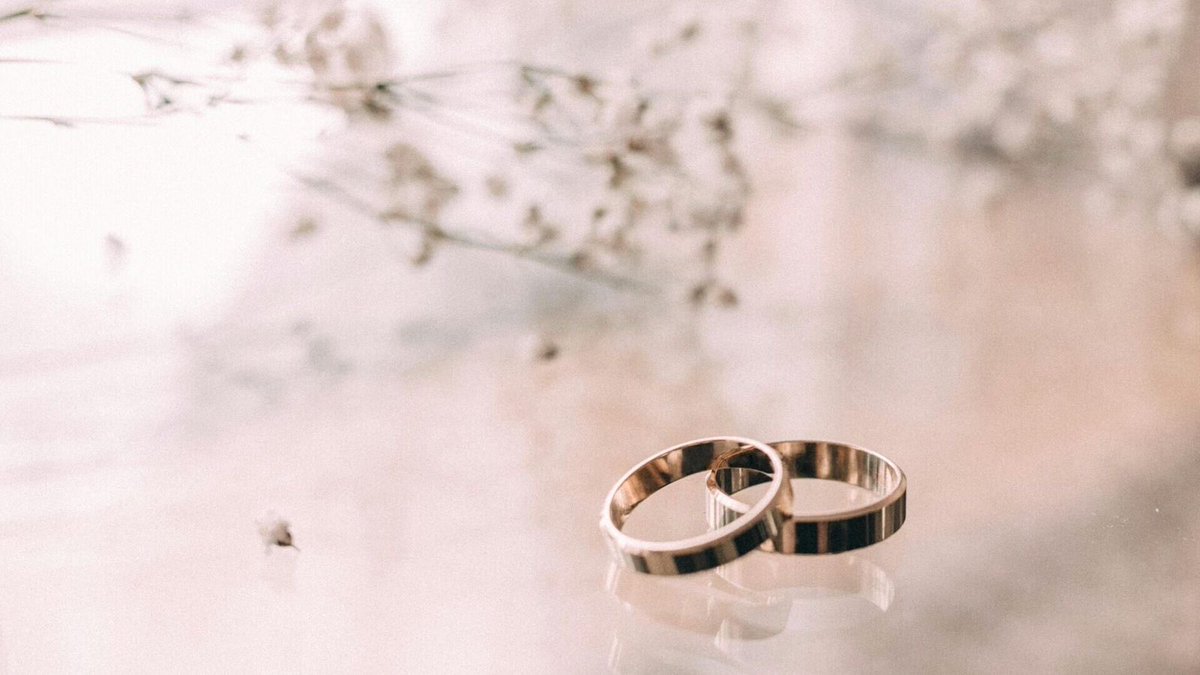 أخبار عاجلة tweet media