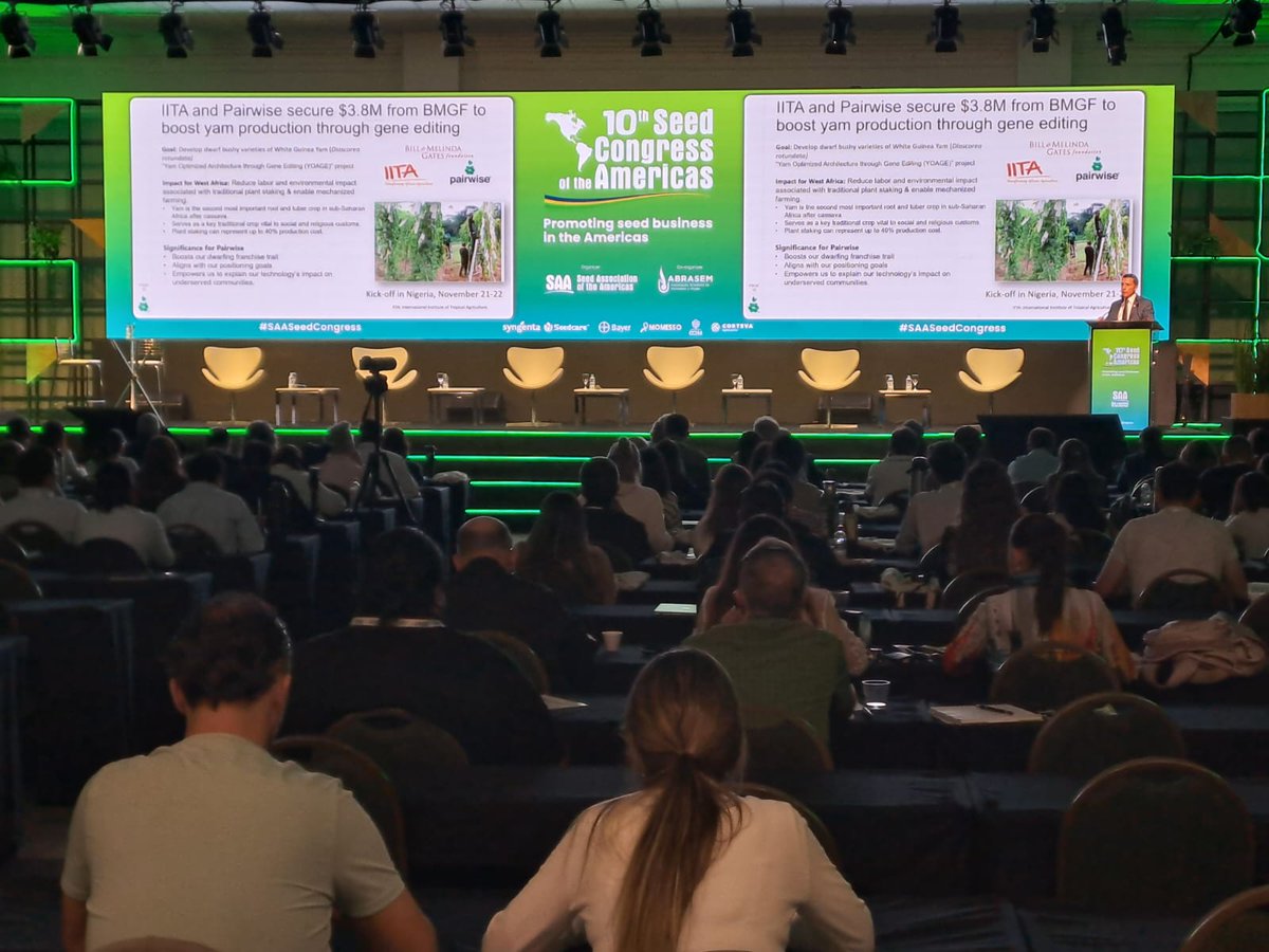SAA__seed's tweet photo. 🌱This morning at #SAASeedCongress: Deep dive into Plant Breeding Innovation & Gene Editing with @embrapa , #NAEGA, @ChileBio_AG, @PairwisePL, @intaargentina & more. Followed by a session on the GE regulatory landscape & global policy outlook.
#Seeds #Innovation #SAA https://t.co/02Lvpihofn