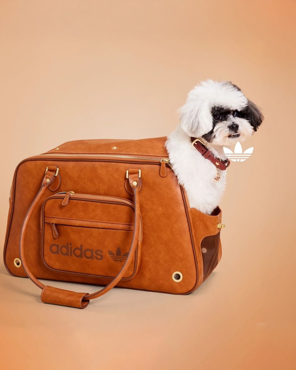 furbedz's tweet photo. Colección perruna.🐶💙

Adidas lanzó una colección para mascotas con estilo retro, solo estuvo disponible en China, pero nos hubiera encantado tenerla en nuestro país.

#adidas #petfriendly https://t.co/DhG3Wjjp9i