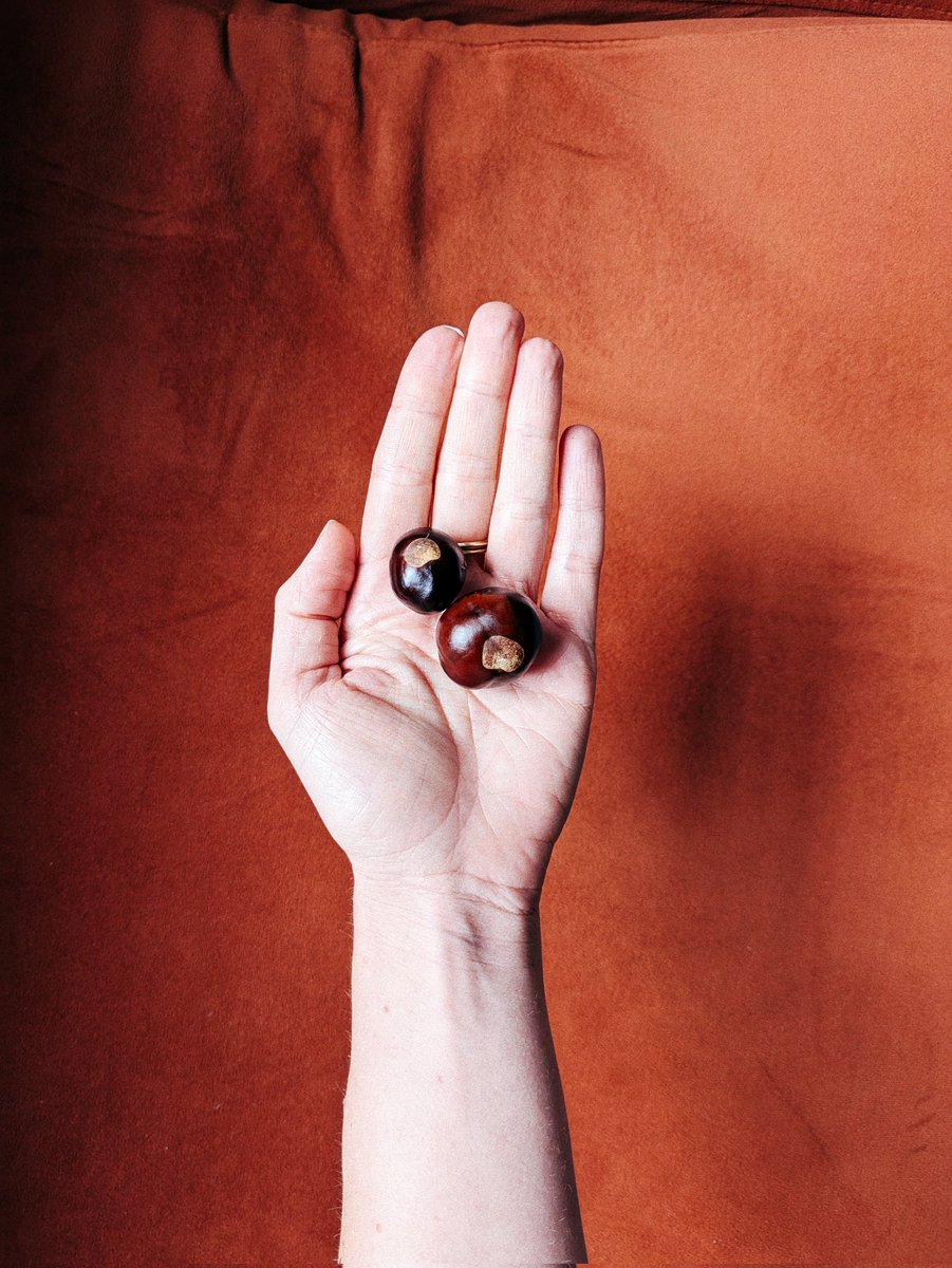 jana stýblová tweet media