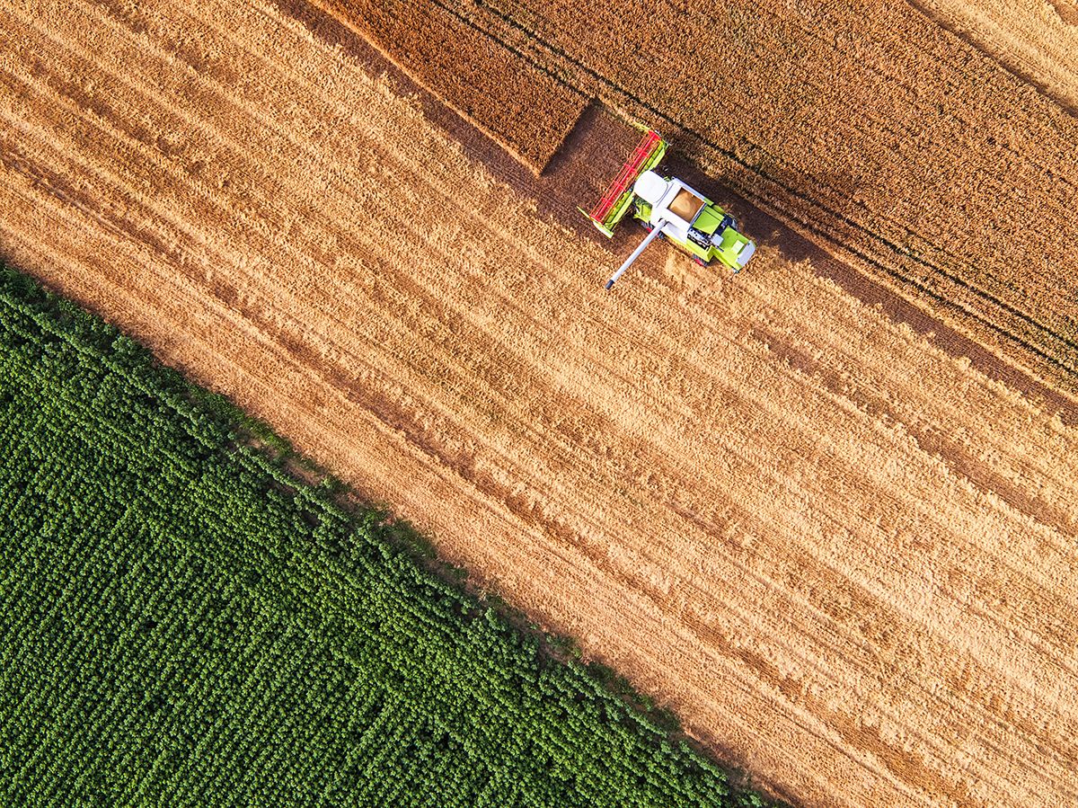 Harvest season for many major U.S. crops is in full swing. See how <a href="/USDA_NIFA/">NIFA</a>-supported multistate research projects help ensure bountiful crops: mrfimpacts.org/impact-stateme… 

<a href="/AgIsAmerica/">Agriculture is America</a> #harvest