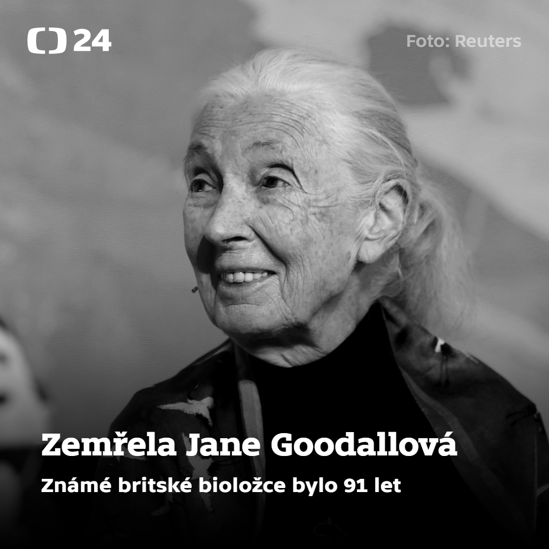 CT24zive's tweet photo. Britská bioložka a ochránkyně přírody Jane Goodallová zemřela ve věku 91 let. O její smrti informoval institut nesoucí její jméno. https://t.co/vVKT30UuRT