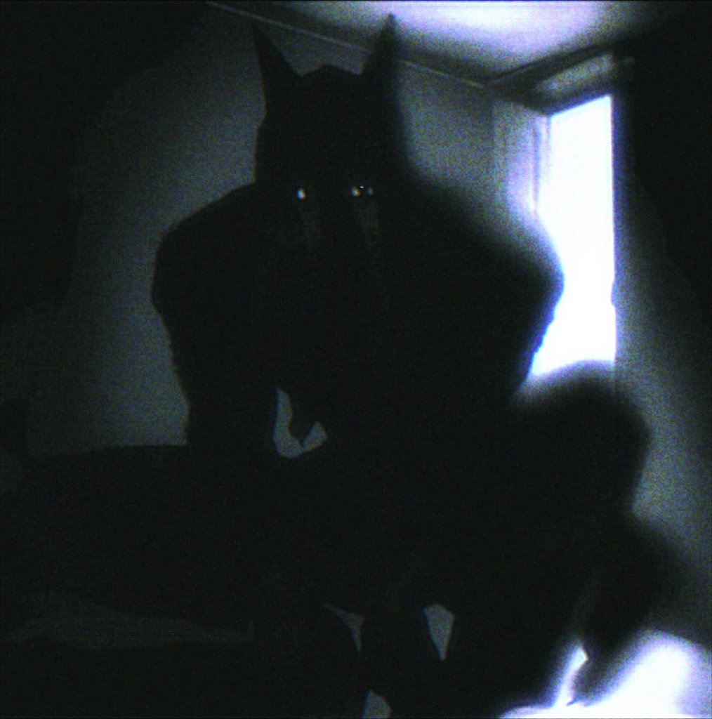 透明浮游生物🍮 tweet media