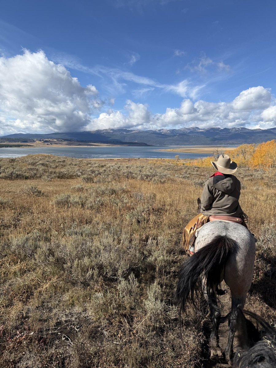 Übrigens ist hier noch nicht ein Tag vergangen an dem ich nicht mindestens Tränen in den Augen gehabt habe. 
Erfüllt euch eure Träume, wenn ihr könnt, und scheisst auf die Meinung anderer.