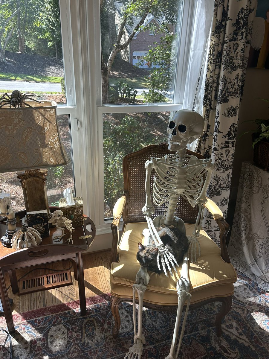 JJ freaking stinks tweet media